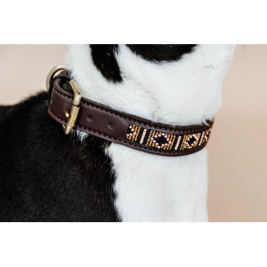 Collier pour chien en Perles faites-main Kentucky Collier pour chien en Perles faites-main Kentucky