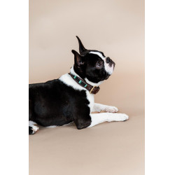 Collier pour chien en Perles faites-main Kentucky Noir