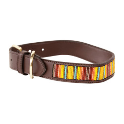 Collier pour chien en Perles faites-main Kentucky Orange