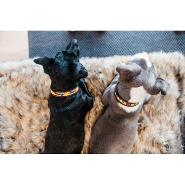 Collier pour chien en Perles faites-main Kentucky Orange