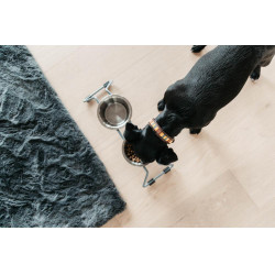 Collier pour chien en Perles faites-main Kentucky Orange