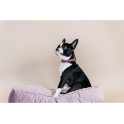 Collier pour chien en Perles faites-main Kentucky Rose
