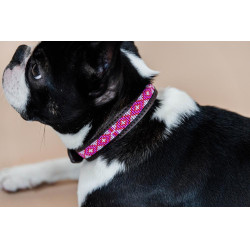 Collier pour chien en Perles faites-main Kentucky Rose Collier pour chien en Perles faites-main Kentucky Rose