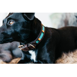 Collier pour chien en Perles faites-main Kentucky Bleu clair