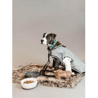 Collier pour chien en Perles faites-main Kentucky Bleu clair