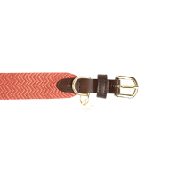 Collier pour chien Jacquard Kentucky Terracotta Orange Collier pour chien Jacquard Kentucky Terracotta Orange