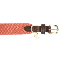 Collier pour chien Jacquard Kentucky Terracotta Orange Collier pour chien Jacquard Kentucky Terracotta Orange