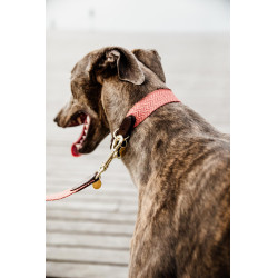 Collier pour chien Jacquard Kentucky Terracotta Orange Collier pour chien Jacquard Kentucky Terracotta Orange