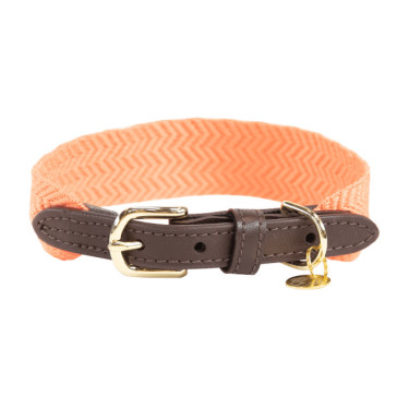 Collier pour chien Jacquard Kentucky Neon orange Collier pour chien Jacquard Kentucky Neon orange