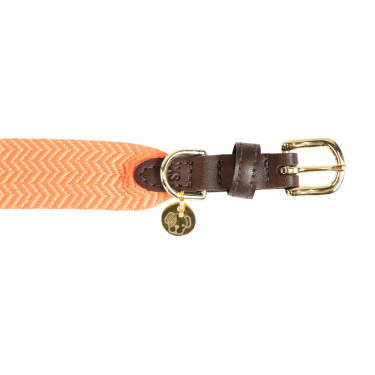 Collier pour chien Jacquard Kentucky Neon orange Collier pour chien Jacquard Kentucky Neon orange