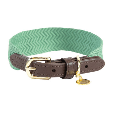 Collier pour chien Jacquard Kentucky Vert olive
