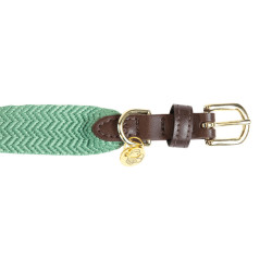 Collier pour chien Jacquard Kentucky Vert olive