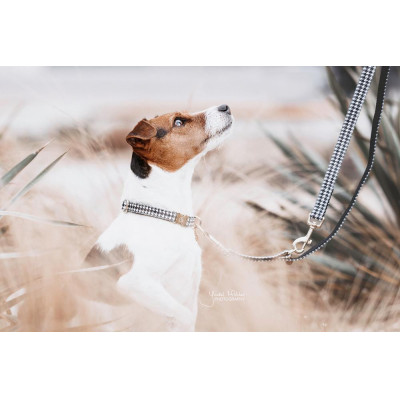 Collier pour chien Pied-de-poule Kentucky Noir