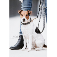 Collier pour chien Pied-de-poule Kentucky Noir Collier pour chien Pied-de-poule Kentucky Noir