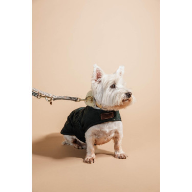 Collier pour chien Pied-de-poule Kentucky Beige