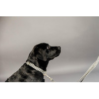 Collier pour chien Pied-de-poule Kentucky Noir