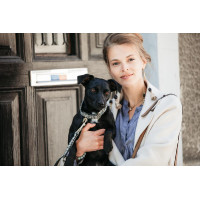 Collier pour chien Pied-de-poule Kentucky Noir