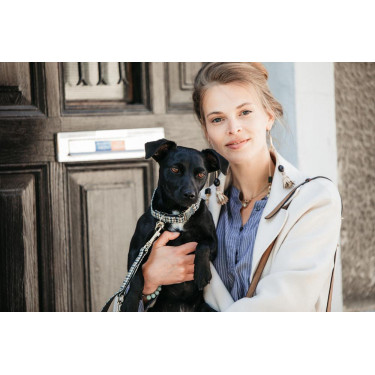 Collier pour chien Pied-de-poule Kentucky Brun Marron