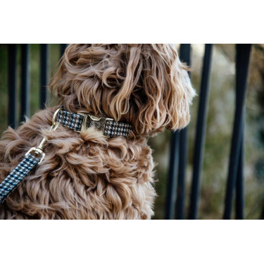 Collier pour chien Pied-de-poule Kentucky Brun Marron