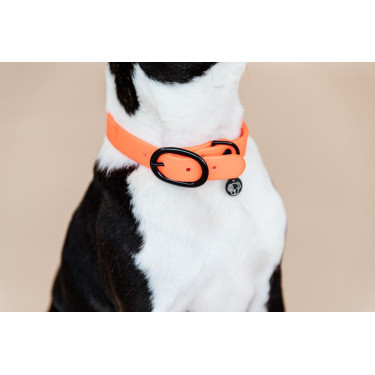 Collier pour chien Soft Rubber Kentucky Collier pour chien Soft Rubber Kentucky