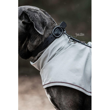 Collier pour chien Soft Rubber Kentucky Noir Collier pour chien Soft Rubber Kentucky Noir