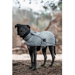 Collier pour chien Soft Rubber Kentucky Noir Collier pour chien Soft Rubber Kentucky Noir