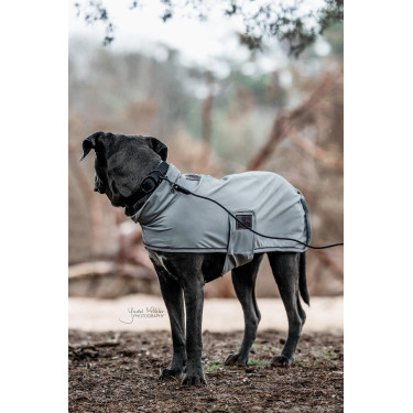 Collier pour chien Soft Rubber Kentucky Noir Collier pour chien Soft Rubber Kentucky Noir