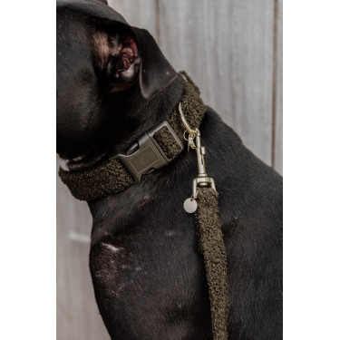 Collier pour chien Teddy Fleece Kentucky Collier pour chien Teddy Fleece Kentucky