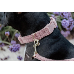 Collier pour chien Teddy Fleece Kentucky Vieux rose Collier pour chien Teddy Fleece Kentucky Vieux rose