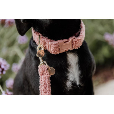 Collier pour chien Teddy Fleece Kentucky Vieux rose Collier pour chien Teddy Fleece Kentucky Vieux rose