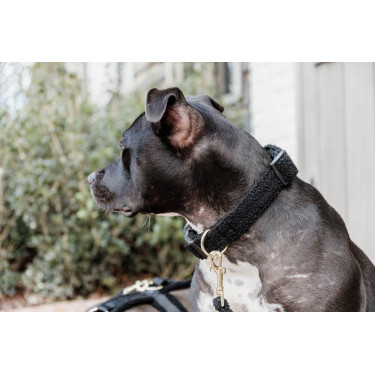 Collier pour chien Teddy Fleece Kentucky Noir