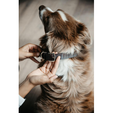 Collier pour chien Triangle Kentucky Collier pour chien Triangle Kentucky