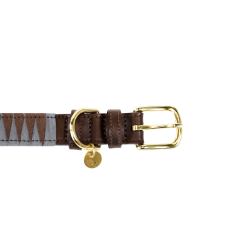 Collier pour chien Triangle Kentucky Marron Collier pour chien Triangle Kentucky Marron