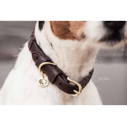 Collier pour chien Triangle Kentucky Marron Collier pour chien Triangle Kentucky Marron