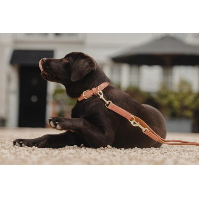 Collier pour chien Vegan Leather Kentucky Pêche