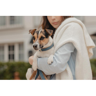 Collier pour chien Vegan Leather Kentucky Navy Bleu marine Collier pour chien Vegan Leather Kentucky Navy Bleu marine