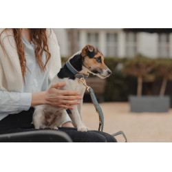 Collier pour chien Vegan Leather Kentucky Navy Bleu marine Collier pour chien Vegan Leather Kentucky Navy Bleu marine