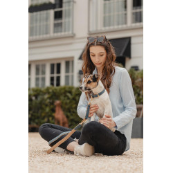 Collier pour chien Vegan Leather Kentucky Navy Bleu marine Collier pour chien Vegan Leather Kentucky Navy Bleu marine