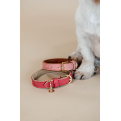 Collier pour chien Vegan Leather Kentucky Rouge