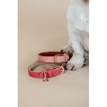 Collier pour chien Vegan Leather Kentucky Rouge