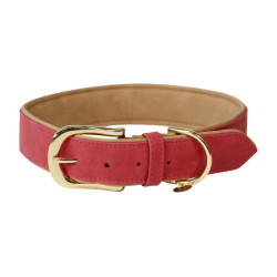 Collier pour chien Vegan Leather Kentucky Rouge
