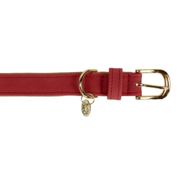 Collier pour chien Vegan Leather Kentucky Rouge