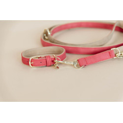 Collier pour chien Vegan Leather Kentucky Rouge