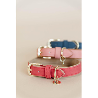 Collier pour chien Vegan Leather Kentucky Rouge