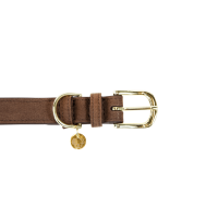 Collier pour chien Velvet Leather Kentucky Brun Marron Collier pour chien Velvet Leather Kentucky Brun Marron