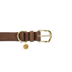 Collier pour chien Velvet Leather Kentucky Brun Marron Collier pour chien Velvet Leather Kentucky Brun Marron