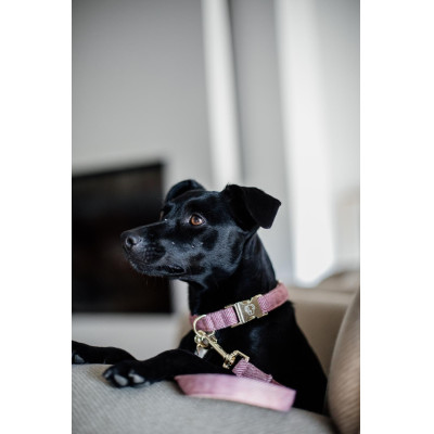 Collier pour chien Wool Kentucky Rose clair