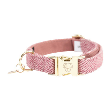 Collier pour chien Wool Kentucky Rose clair