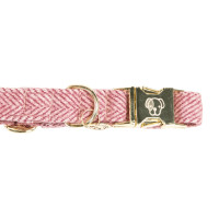 Collier pour chien Wool Kentucky Rose clair