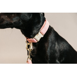 Collier pour chien Wool Kentucky Rose clair Collier pour chien Wool Kentucky Rose clair